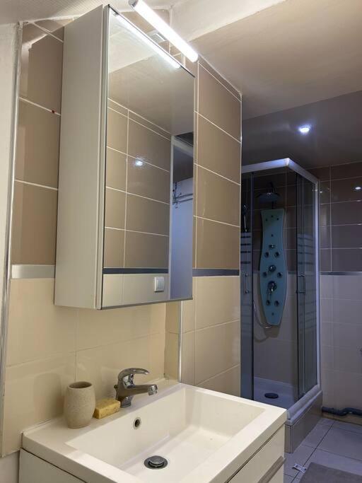 Cosy Studio - 10 Min Away From Cdg Aeroport - 30 Min Away From Paris - Parc Asterix - Olympic Games 2024 Le Thillay Bagian luar foto